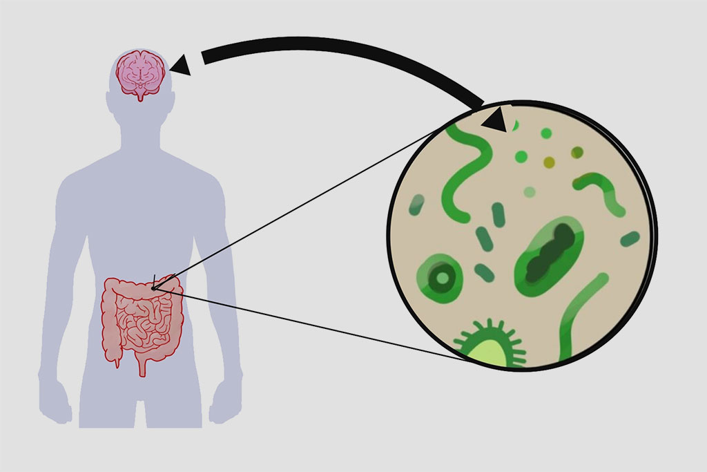 Microbiota intestinal: como o intestino influencia o humor, a energia e a saúde