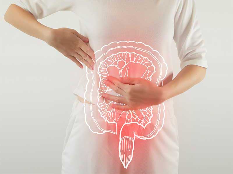A Flora Intestinal