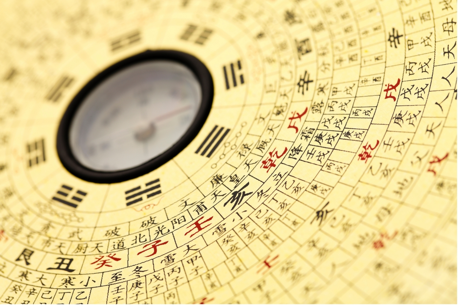 Curso Elementar Feng Shui (Presencial e Remoto)